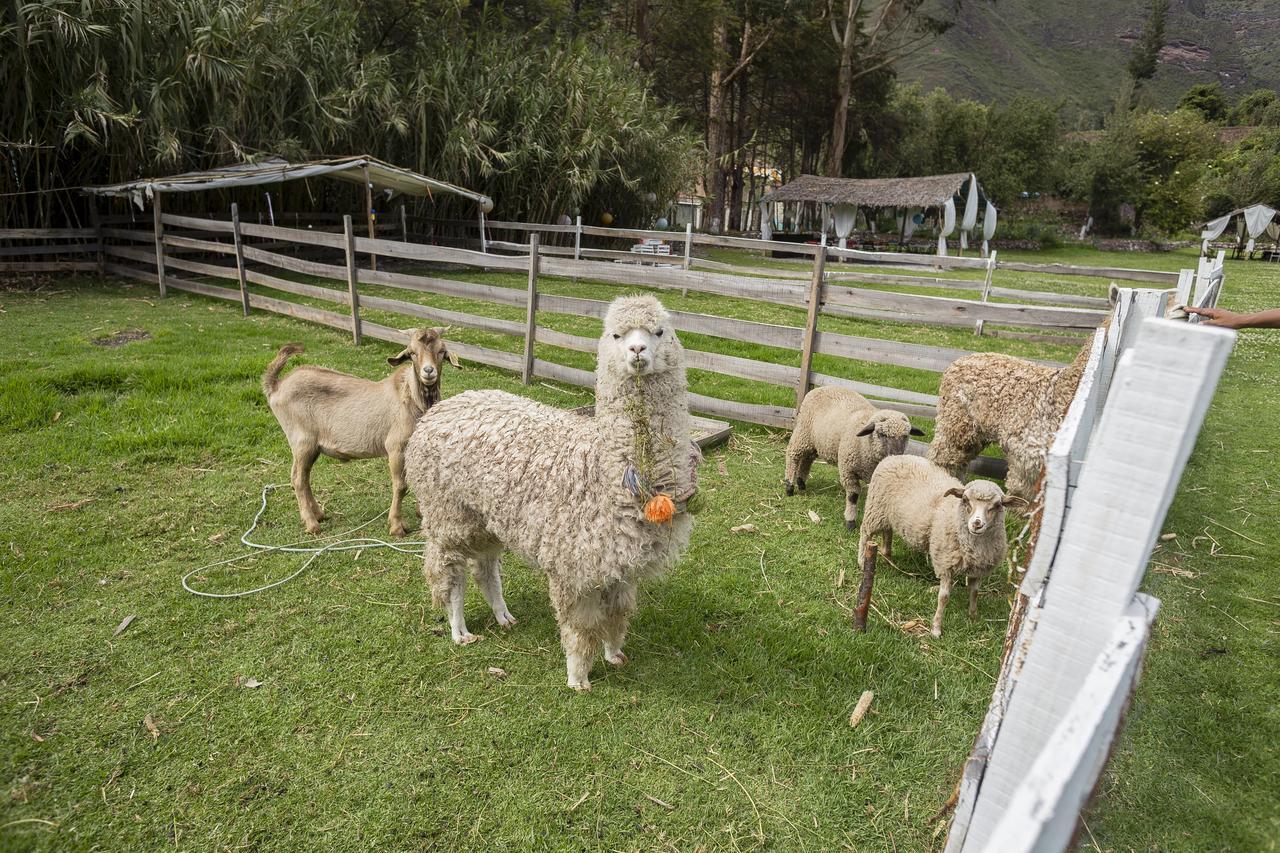 The Sacred Valley Lodge - Hotel Cusco Yucay Exterior foto